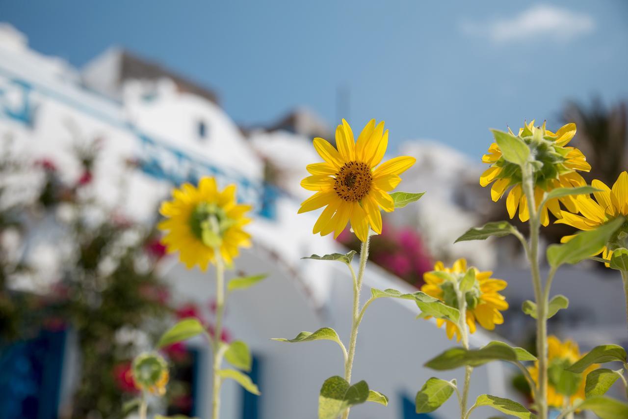 Ferienwohnung Annio Santorini Imerovigli  Exterior foto